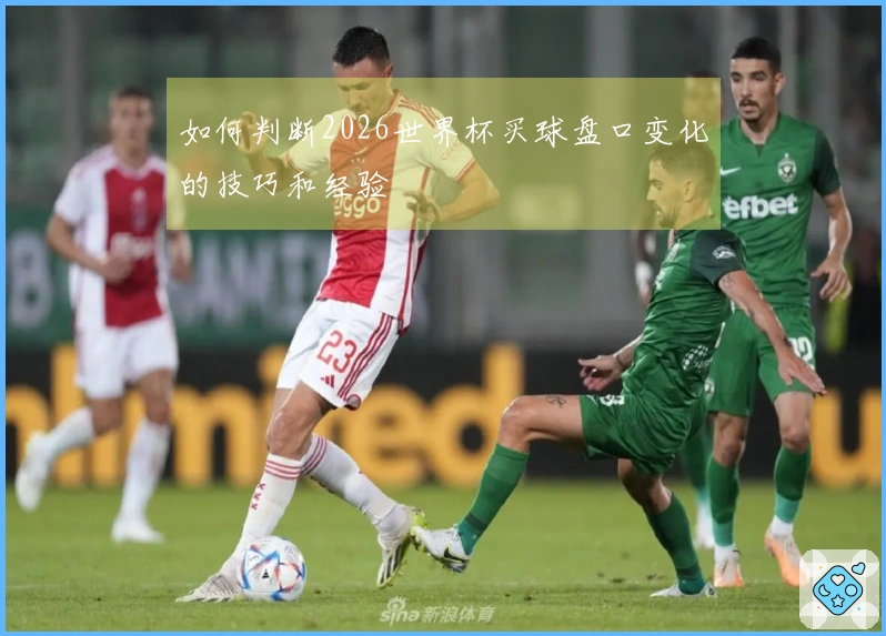 如何判断2026世界杯买球盘口变化的技巧和经验
