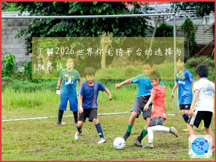 了解2026世界杯竞猜平台的选择与推荐技巧