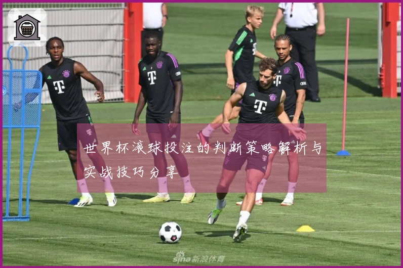世界杯滚球投注的判断策略解析与实战技巧分享