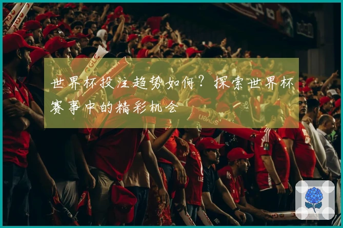 世界杯投注趋势如何？探索世界杯赛事中的精彩机会
