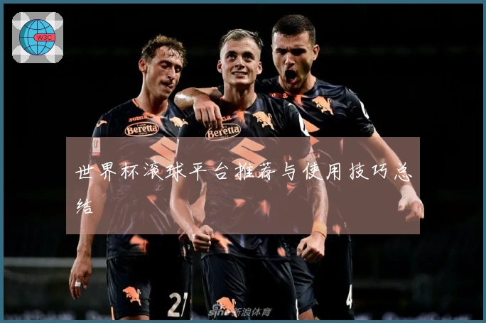 世界杯滚球平台推荐与使用技巧总结